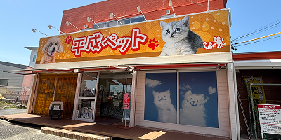 店舗詳細