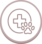 動物病院と提携