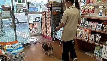 チェックアウト